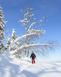Traumtag im frischen Neuschnee