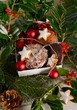 milk and cookies for santa
