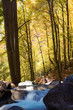 Autunno