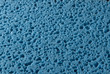 Macro Blue Sponge Macro Blue Sponge