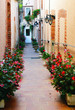Photo: Narrow lane Narrow lane