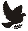 peace dove