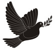 peace dove