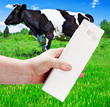 empty milk carton with space for text and advertising in a lands