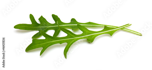 Photo: fresh rucola leaves isolated on white fresh rucola leaves isolated on white