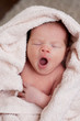Sweet yawning