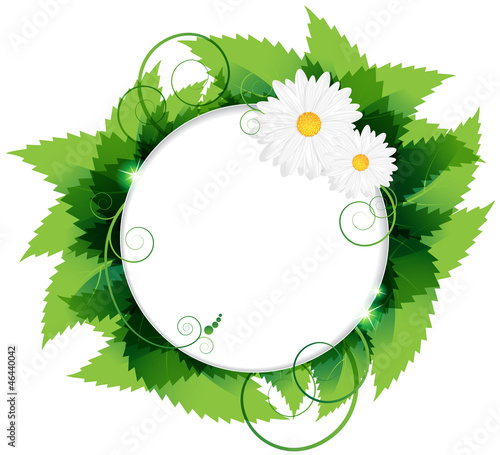 Vector: Daisies With Leaves Daisies With Leaves