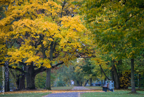 Photo: Park im Herbst Park im Herbst