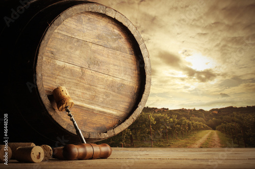 Photo: Vineyard and barrel Vineyard and barrel