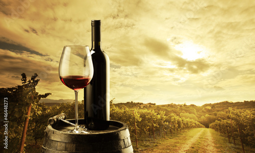 Photo: Vineyard at sunset Vineyard at sunset