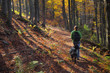 Photo: A walk with a friend A walk with a friend