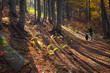 Photo: A walk with a friend A walk with a friend