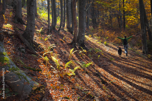 Photo: A walk with a friend A walk with a friend