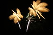 feuerwerk