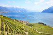 Lavaux region
