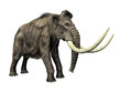 Mammut