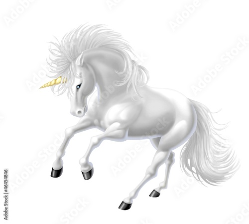 Illustration: unicorno bianco unicorno bianco
