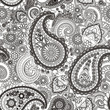 Vector: Paisley Paisley