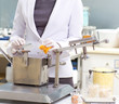 pharmacist  with packaging capsule machine