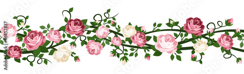 Vector: Vector horizontal seamless background with pink and white roses. Vector horizontal seamless background with pink and white roses.