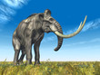 Mammoth