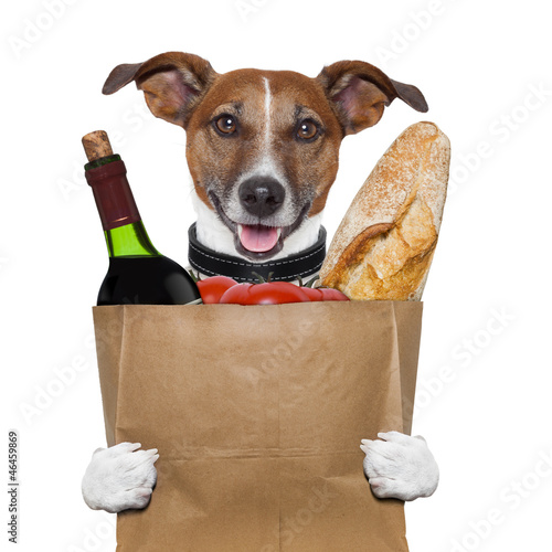 Photo: grocery bag dog wine tomatoes bread grocery bag dog wine tomatoes bread