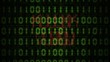 VID - Access Denied (Binary Code I)