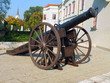 Ancient gun