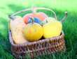 panier de coloquintes et courges