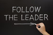 Follow The Leader on Blackboard