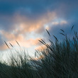 Winter an der Nordsee, Juist, Dünen im Abendlicht
