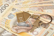 Pile of money and a key