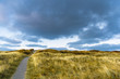 Weg durch spätherbstliche Dünenlandschaft an der Nordsee