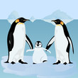 Vektor: Penguins on an ice floe Penguins on an ice floe
