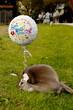 Get Well Soon