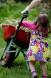 Home gardening