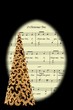 O Christmas Tree carol and tree © Arena Photo UK