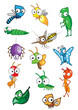 Collection of insect