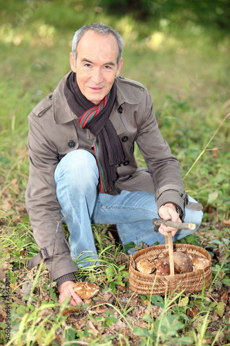 Photo: 65 years old man kneeling and picking mushrooms 65 years old man kneeling and picking mushrooms