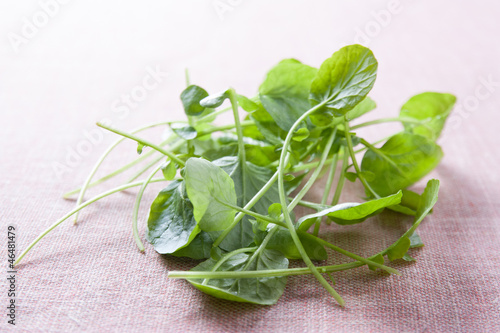 Photo: Fresh watercress leaves Fresh watercress leaves