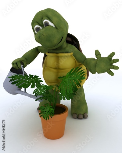 Illustration: tortoise with watering can feeding a plant tortoise with watering can feeding a plant