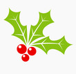 Christmas holly berry