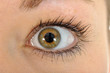 Auge in Nahaufnahme