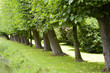 Natur