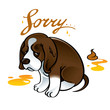 Sorry sad puppy dog pet shame