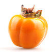 persimmon