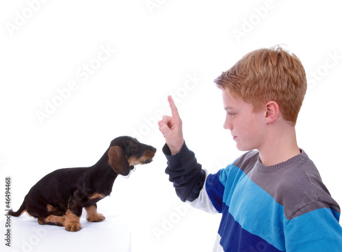 Photo: Dackelerziehung Dackelerziehung