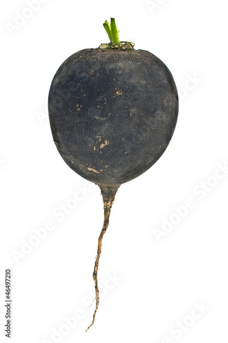 Photo: Beet vegetable Beet vegetable
