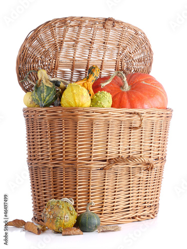 Photo: Autumn crops Autumn crops