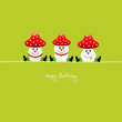 3 Sitting Fly Agarics "Happy Birthday"